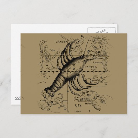 Krebskonstellation Hevelius 1690 Engaving Postkarte (Vorne/Hinten)