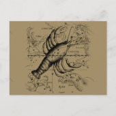 Krebskonstellation Hevelius 1690 Engaving Postkarte (Vorderseite)
