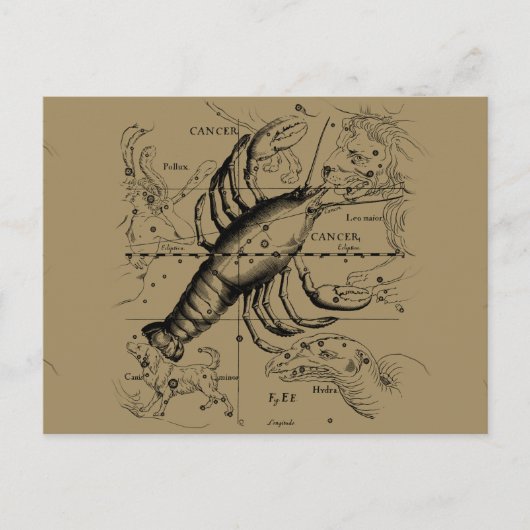 Krebskonstellation Hevelius 1690 Engaving Postkarte (Vorderseite)