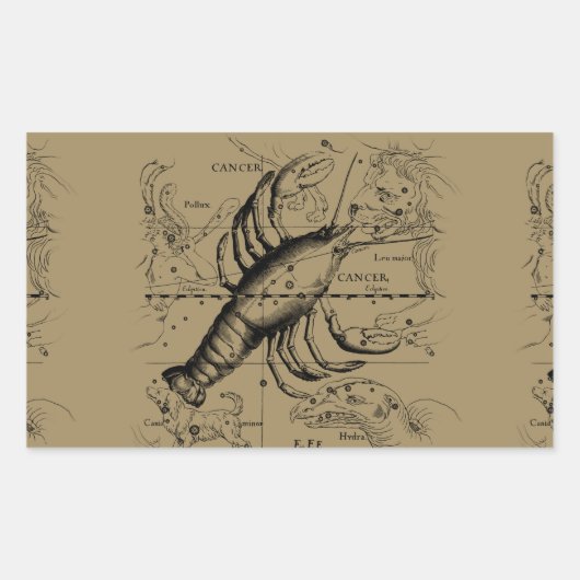 Krebskonstellation Hevelius 1690 Engaving Rechteckiger Aufkleber (Vorderseite)