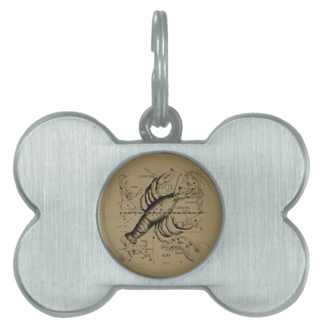 Krebskonstellation Hevelius 1690 Engaving Tiermarke (Vorderseite)