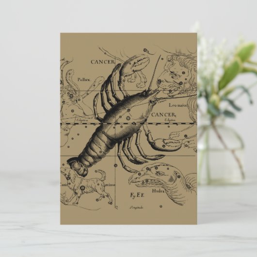 Krebskonstellation Hevelius 1690 Juni 21-Juli 22 (Stehend Vorderseite)