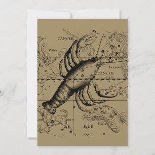 Krebskonstellation Hevelius 1690 Juni 21-Juli 22