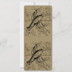 Krebskonstellation Hevelius 1690 Juni 21-Juli 22