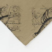 Krebskonstellation Hevelius 1690 Juni 21-Juli 22 Fleecedecke (Ecke)
