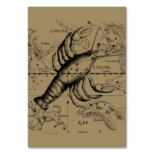 Krebskonstellation Hevelius 1690 Juni 21-Juli 22 Tischnummer (Vorderseite)