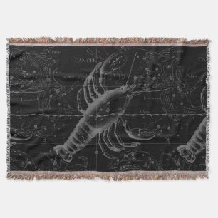 Krebskonstellation Karte Black Hevelius circa 1690 Decke