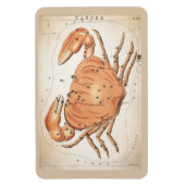 Krebskonstellation Magnet (Vertikal)