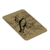 Krebskonstellation von Hevelius um 1690 Magnet (Rechte Seite)