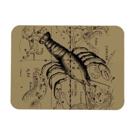 Krebskonstellation von Hevelius um 1690 Magnet (Horizontal)