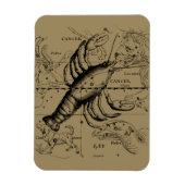 Krebskonstellation von Hevelius um 1690 Magnet (Vertikal)