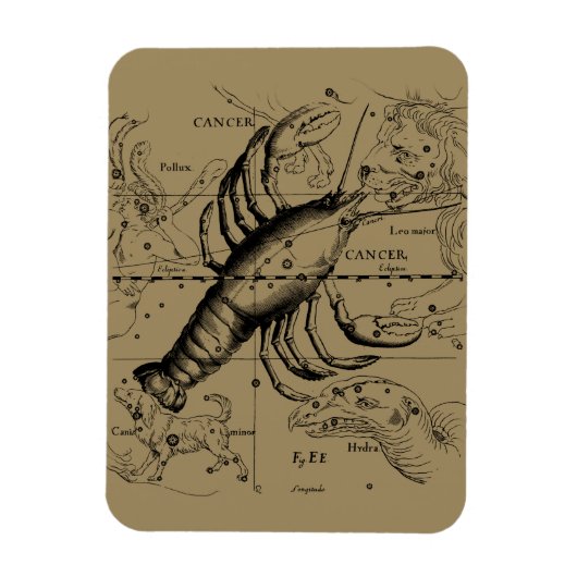 Krebskonstellation von Hevelius um 1690 Magnet (Vertikal)
