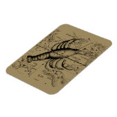 Krebskonstellation von Hevelius um 1690 Magnet (Linke Seite)