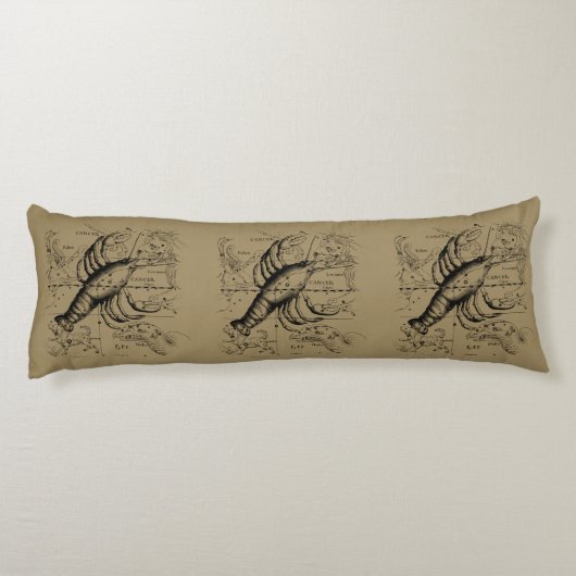 Krebskonstellation von Hevelius um 1690 Seitenschläferkissen (Rückseite)