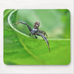 Krebspinne auf Milchweed-Koordinaten Mousepad