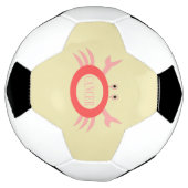 Krebsstern-Schildkröte-Fußballball Fußball (Gedreht)