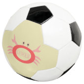 Krebsstern-Schildkröte-Fußballball Fußball (Dreiviertel)