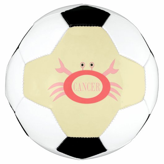 Krebsstern-Schildkröte-Fußballball Fußball (Vorderseite)
