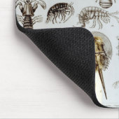Krebstier und spinnenartige Tiere Mousepad (Ecke)