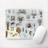 Krebstier und spinnenartige Tiere Mousepad (Mit Mouse)