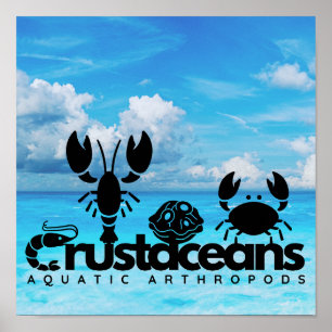 Krebstiere Aquatische Arthropoden Poster
