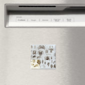 Krebstiere und Arachnida Magnet (In Situ (Geschirrspüler))