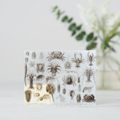 Krebstiere und Arachnida Postkarte (Stehend Vorderseite)