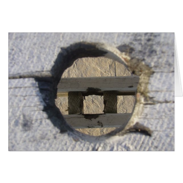 Kreis (Vorderseite (Horizontal))