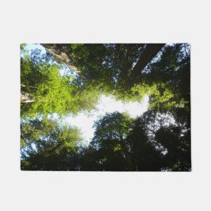 Kreis aus Mammutbäumen im Redwood National Park Fußmatte