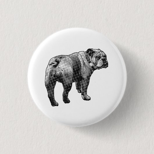 Kreis-Bulldogge, ruhiges Profil Button (Vorderseite)
