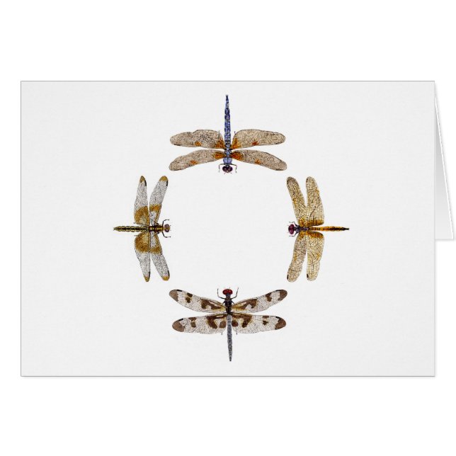 Kreis der Libellen (Vorderseite (Horizontal))