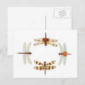 Kreis der Libellen Postkarte (Vorne/Hinten)