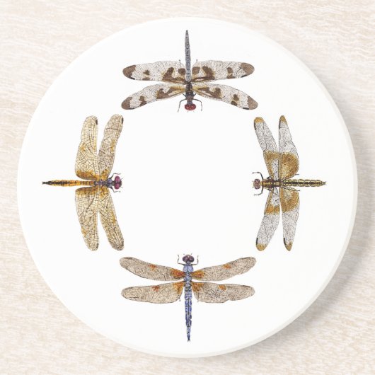 Kreis der Libellen Sandstein Untersetzer (Vorne)