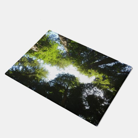 Kreis der Redwood-Bäume im Redwood-Nationalpark Fußmatte (Schrägansicht)