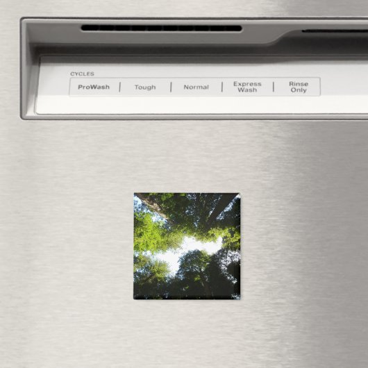 Kreis der Redwood-Bäume im Redwood-Nationalpark Magnet (In Situ (Geschirrspüler))