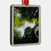 Kreis der Redwood-Bäume im Redwood-Nationalpark Ornament Aus Metall (Rechts)