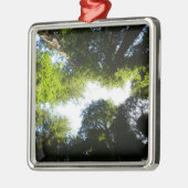 Kreis der Redwood-Bäume im Redwood-Nationalpark Ornament Aus Metall (Links)