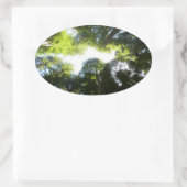 Kreis der Redwood-Bäume im Redwood-Nationalpark Ovaler Aufkleber (Tasche)