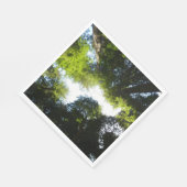 Kreis der Redwood-Bäume im Redwood-Nationalpark Serviette (Ecke)