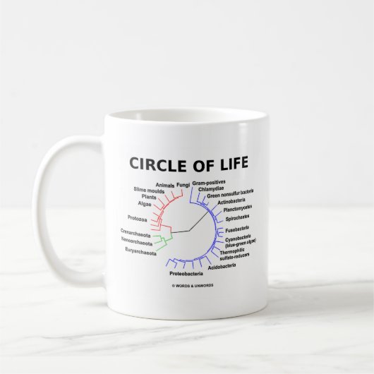 Kreis des Lebens (kreisförmiger phylogenetischer Kaffeetasse (Links)