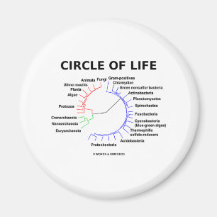 Kreis des Lebens (kreisförmiger phylogenetischer Magnet