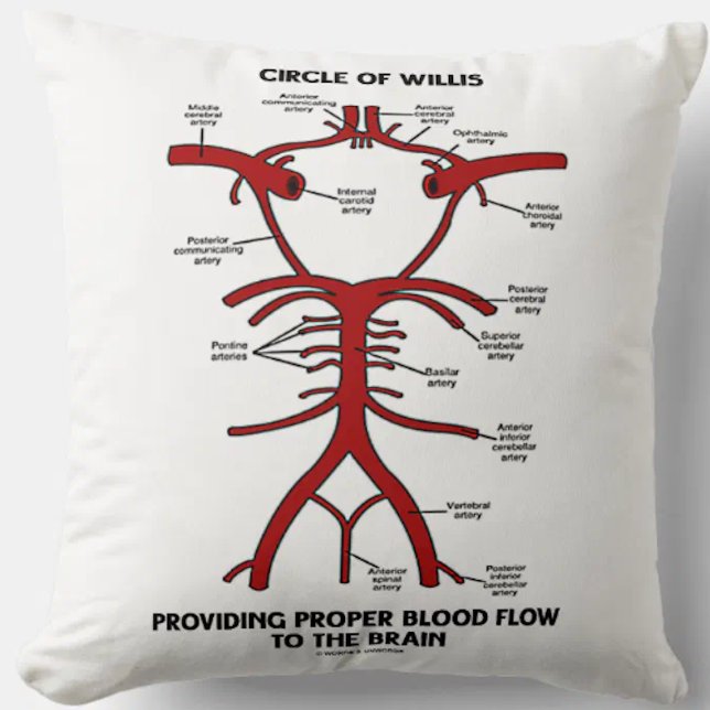 Kreis von Willis richtiges Durchblutungs-Gehirn Kissen (Throw pillow featuring Circle of Willis diagram, complete with labels of all key arteries)