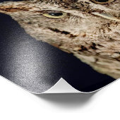 Kreischeule Fotodruck (Ecke)