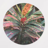 KREISETIKETTEN ETIKETTEN (Design 1)