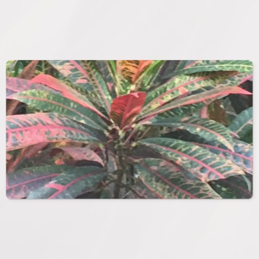 KREISETIKETTEN ETIKETTEN (Design 3)