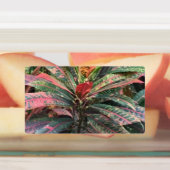 KREISETIKETTEN ETIKETTEN (Befestigt)