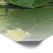 Kreisschmetterling Poster (Ecke)