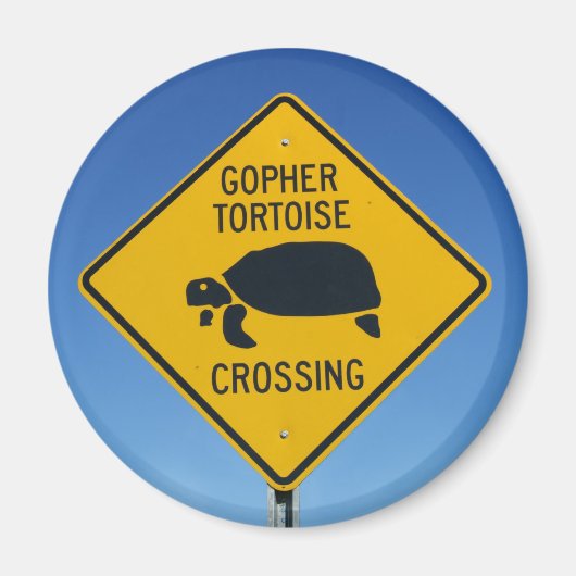 Kreisüberquerung Magnet (Vorne)