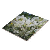 Krepp-Myrte-Baum nah Fliese (Seite)