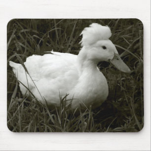 Krestie in Schwarz und Weiß Mousepad